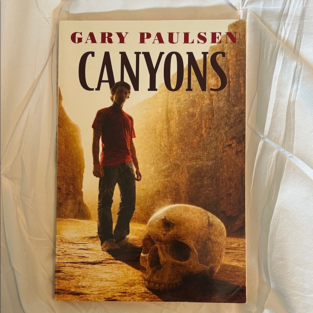YA Novel - Canyons